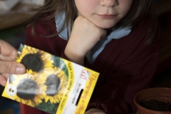 PRIMARY GIRL WITH SUNFLOWER SEEDS