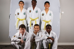 tae-kwondo