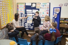 PRIMARY ENGLISH CLASS